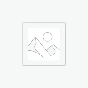 플레이스홀더